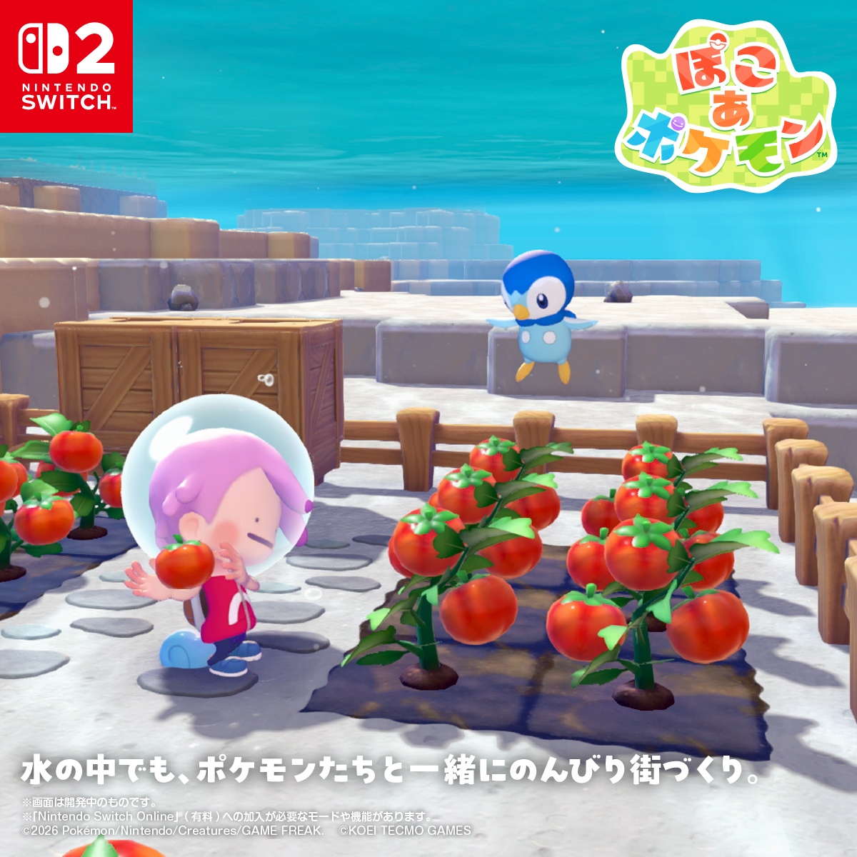 Nintendo's tweet photo. 『ぽこ あ ポケモン』の無料アップデート配信開始。

新しいわざ「ダイビング」を覚えられるようになりました。

「ダイビング」を使うと、水の中に入れるようになり、水中でも地上と同じように街づくりが楽しめます。