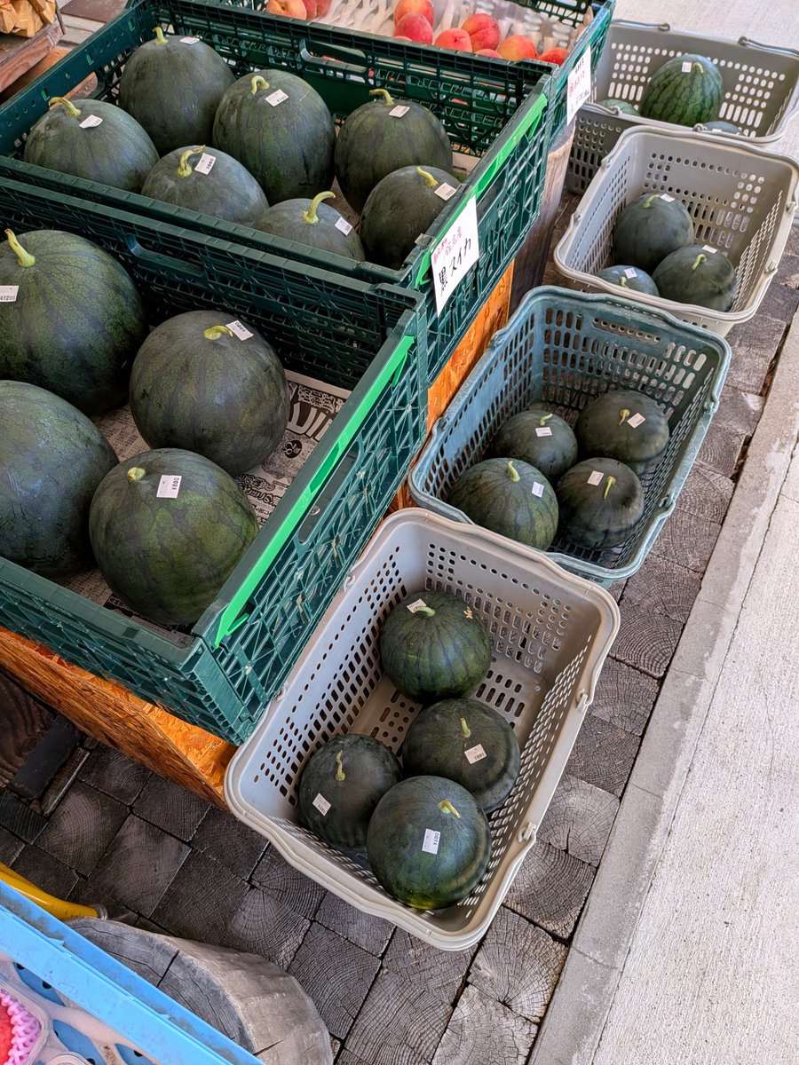michinoekibanya's tweet photo. 今年初入荷です!
黒々とした皮が特徴の「黒スイカ」は鮮やかな赤い果肉と締まった食感が魅力です。
「白いトウモロコシ」は、フルーツ並みの甘さで生でも食べられるほど。
道の駅番屋の店頭でお待ちしています。
#道の駅番屋 #南会津町 #黒スイカ #白いトウモロコシ #めんげー道の駅 #R352 #舘岩 https://t.co/1ll9cyzMTu