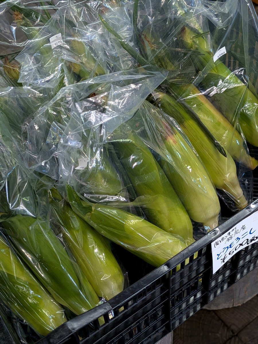 michinoekibanya's tweet photo. 今年初入荷です!
黒々とした皮が特徴の「黒スイカ」は鮮やかな赤い果肉と締まった食感が魅力です。
「白いトウモロコシ」は、フルーツ並みの甘さで生でも食べられるほど。
道の駅番屋の店頭でお待ちしています。
#道の駅番屋 #南会津町 #黒スイカ #白いトウモロコシ #めんげー道の駅 #R352 #舘岩 https://t.co/1ll9cyzMTu