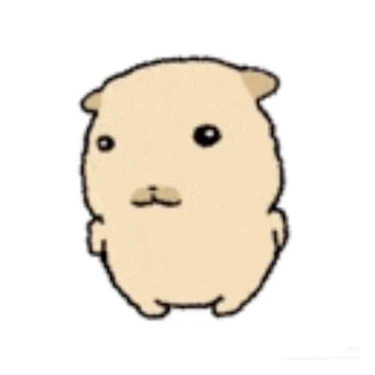 ST4RINGATLAS's tweet photo. @jjbunnii https://t.co/qlQ6jc5svg