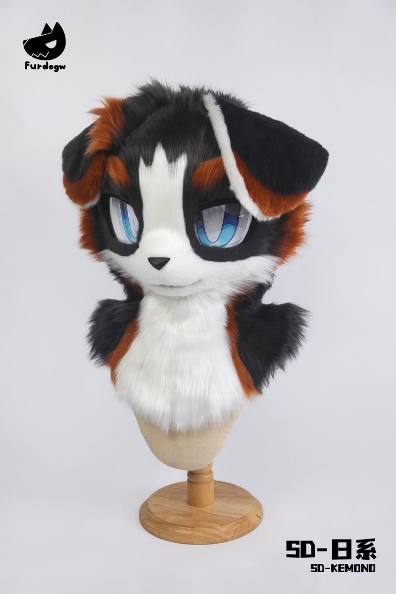 FurDogw's tweet photo. Bernese Mountain Dog fursuit head available for resale
Priced at $900, head only
Full fursuit is priced at $2300
Reference design sheet included
International shipping fees are borne by the buyer
Message me privately if you intend to buy
#furry #furryart #fursuit #FursuitEverday https://t.co/WVw1UA8zJF