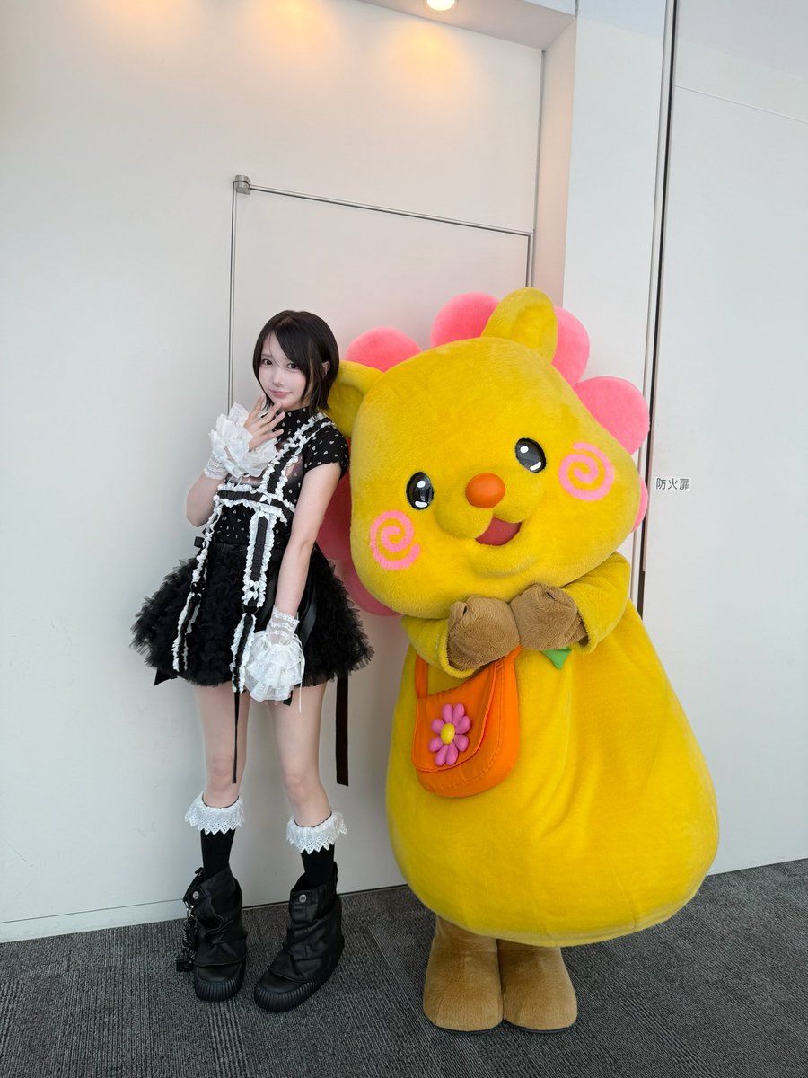 aNo2mass's tweet photo. このあとヒルナンデス！ https://t.co/amJdfOZwqC