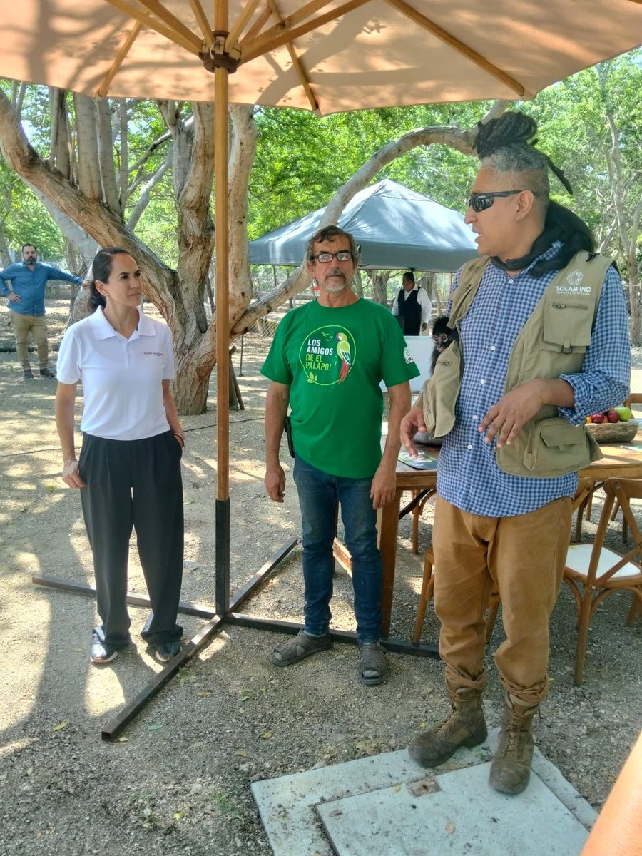 GSandovalSalas's tweet photo. Esta mañana, en el marco de mi recorrido por #Colima, acompañada por personal de Oficina de Representación de la @SEMARNAT_mx en la entidad y la empresa minera Peña Colorada, la visité la UMA “El Palapo”, ubicada en el municipio de Coquimatlán.

Durante el recorrido, conocimos de cerca los trabajos que se realizan para la conservación, atención y auxilio de fauna silvestre, acciones que reflejan la importancia de sumar esfuerzos para proteger nuestra biodiversidad y fortalecer el cuidado de los ecosistemas de la entidad.