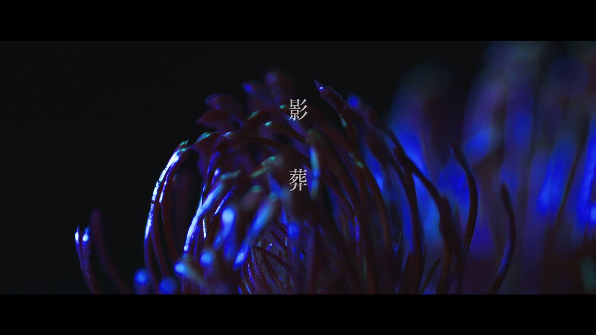 dkbr_info's tweet photo. 【新寫眞公開③】

-毒針新章 開幕-

2026年8月8日0時
『影葬』MV Full公開

Vo.祈
@dkbr_inori https://t.co/TJrKYM8ctm