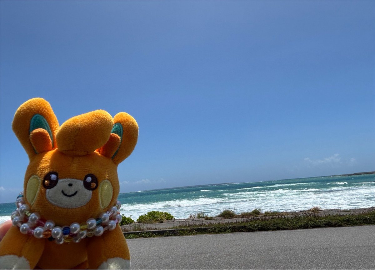 PuKqn's tweet photo. ほーら、ﾊﾟﾓさん
海の向こうから台風🌀が近づいてるよ〜
準備しよね

ﾁｮﾄ波ﾂﾖ~ｲ

 #ポケぬいとおでかけ https://t.co/G3Jy4LLoHP
