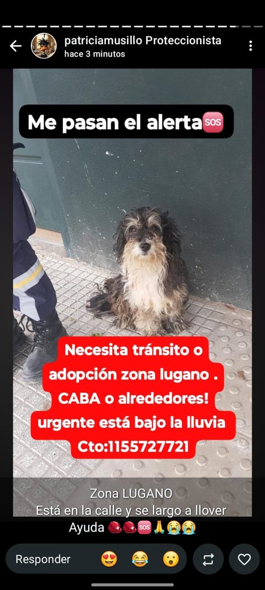 patripeyrou's tweet photo. Difundimos https://t.co/i4InF6PYKk