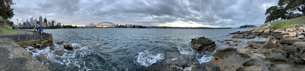 cirnohappy's tweet photo. Good night oomfies~

Work is keeping me busier again. 
This one is from Sydney, a beautiful city I traveled to often.

I miss jogging around the Royal Botanic Garden at dawn 🌅 https://t.co/yVqsu9IgW0
