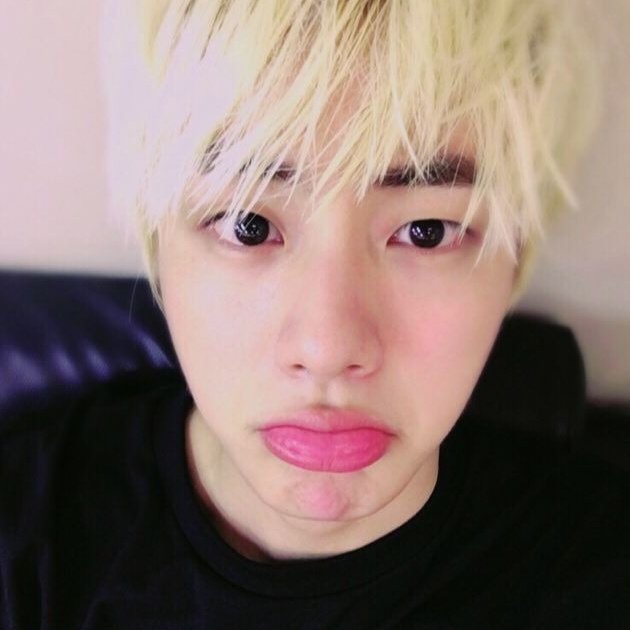 dailydolljin's tweet photo. https://t.co/Fy4SWvhikx