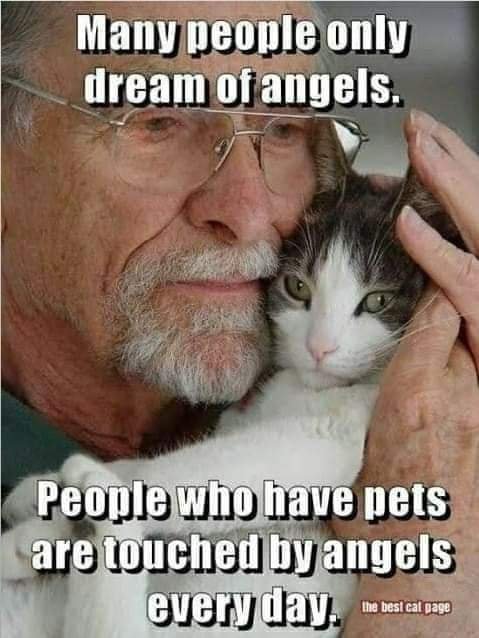Lurchhouse's tweet photo. @KYL0JEN Yes! https://t.co/I0Gw9HqZUg