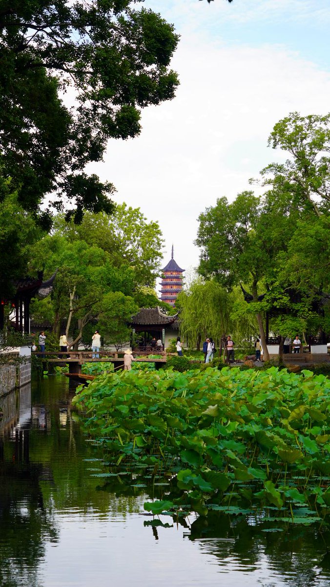 thesilkroad's tweet photo. The Humble Administrator's Garden is located in Suzhou, Jiangsu Province. It is the largest &amp; most renowned Chinese garden with an area of 52,000 sq. meters. Built in 1509 during the Ming Dynasty (1368 - 1644), it was initially the private garden of a former government official. https://t.co/L3Q0nfCHSo