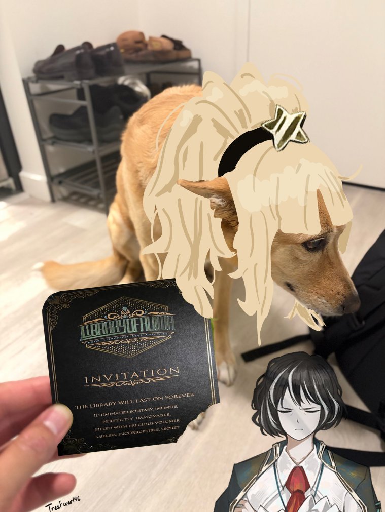 TresFixer196's tweet photo. dumbass company dog ate our only invitation to the library https://t.co/X1YkyR02kL