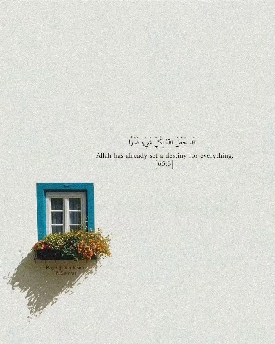 repentingbliver's tweet photo. What is meant for you will never miss you, and what misses you was never meant for you. 

Trust His timing, keep making sincere effort, and leave the outcome to Him.

He will never leave you.. https://t.co/u1mHTqhaty