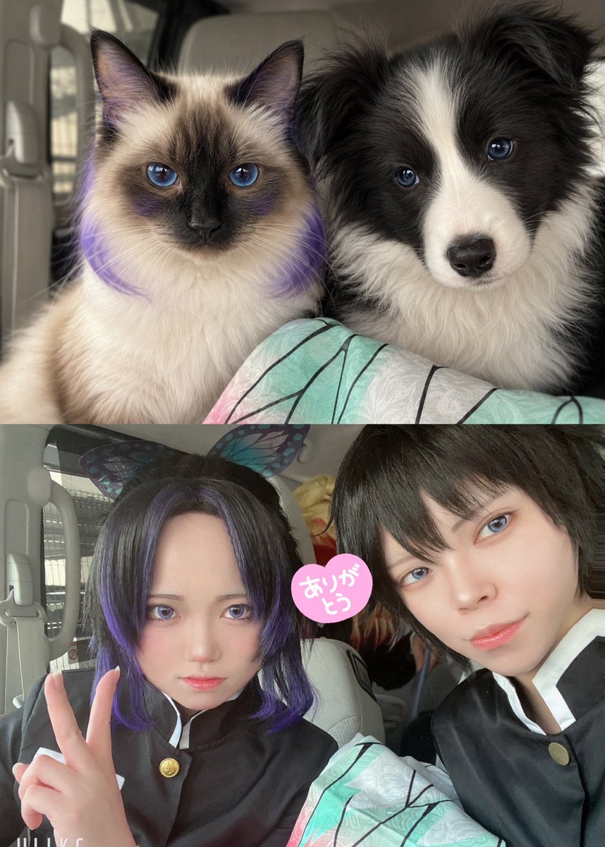Monaka4rvc's tweet photo. ひなもなの犬猫概念見て欲しい、似てる https://t.co/0OPCwP36hP
