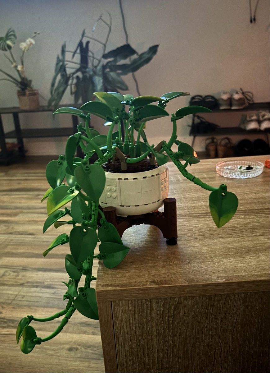 bri_s444's tweet photo. NEW LEGO SET 🪷🌿 https://t.co/4XYWF24tMB