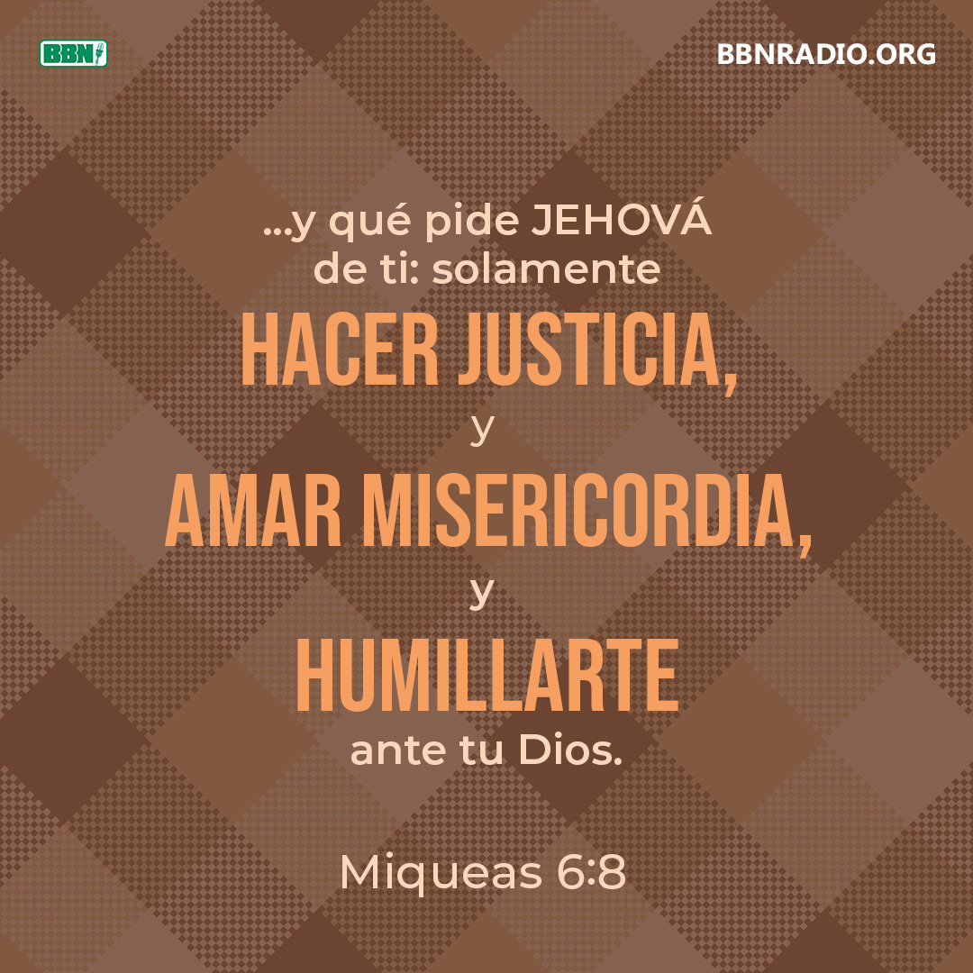 BBNEspanol's tweet photo. https://t.co/YHrj83JdbJ