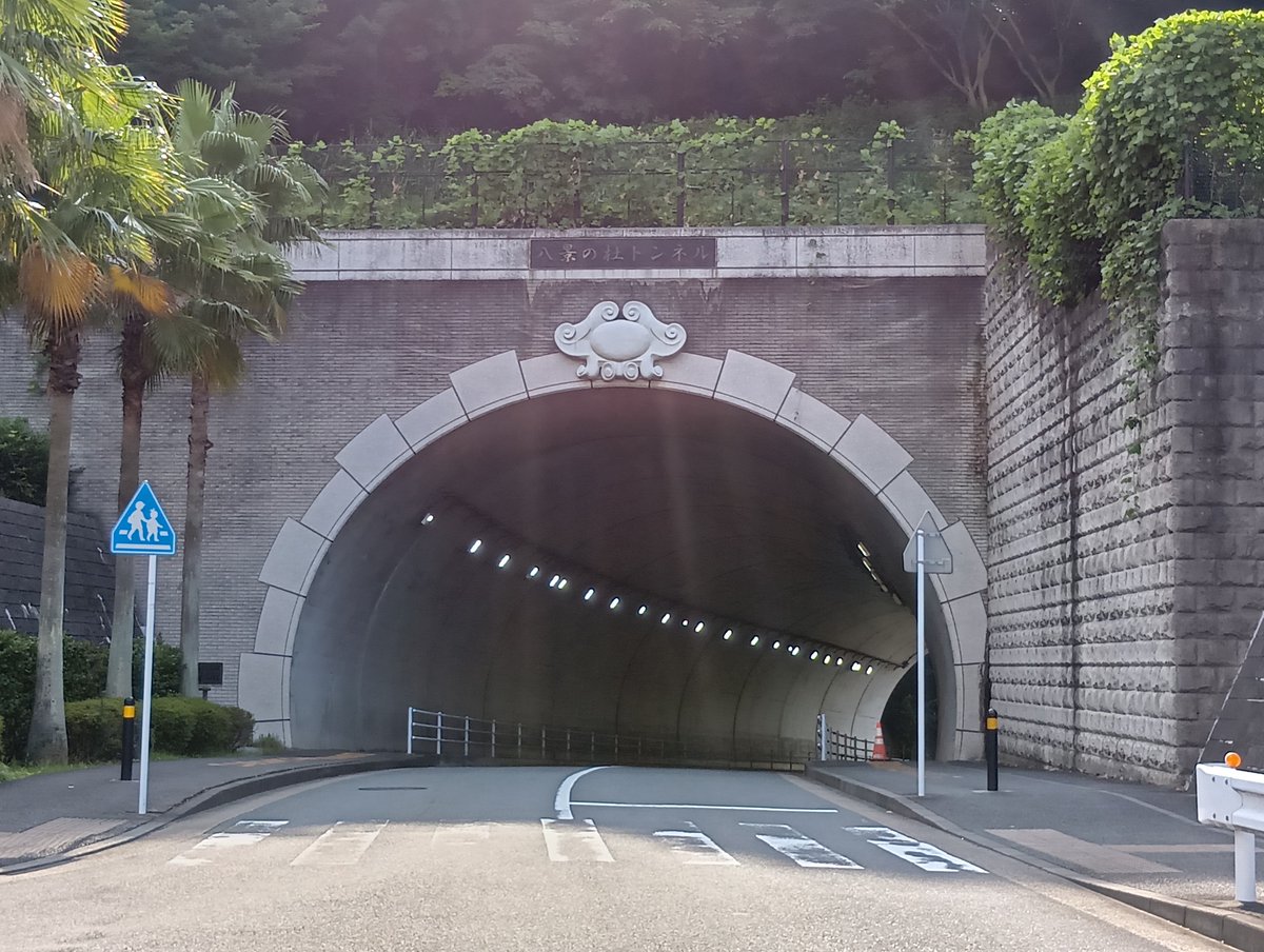 6191Beck's tweet photo. 鎌倉から金沢文庫へ

咲太と岩見沢寧々が歩いていた八景の杜トンネルです

大学から南側を回ってトンネルを抜けてきたことになりますが、そのルートはかなりの距離があって難しいです

原作では北側から回ってましたが、金沢文庫からバスで行くのが無難です

#青春ブタ野郎 
#青ブタ 
#聖地巡礼 https://t.co/T8RPN0K049