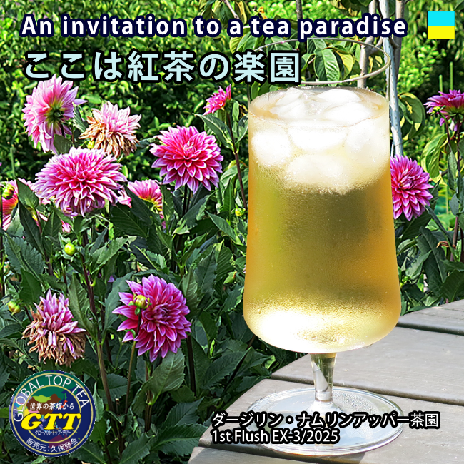 Global_Top_Tea's tweet photo. 紅茶に砂糖やミルクや焼き菓子が要らないとなれば、これこそが真のカロリーフリーの達成とも言える。快適な生活のため、快適な労働環境をめざして、水を飲むかの如く紅茶が飲める、美味しく、時には冷たく。これはまさしく楽園ですね。そうだダージリンを飲もう。 https://t.co/U3i1mmShDS