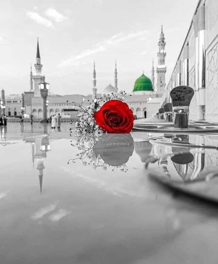 juttvp's tweet photo. جو گنہگاروں کے لیے بھی روئیں راتوں کو اٹھ اٹھ کر 
میرے نبی جیسا اس پوری دنیا میں کوئی اور کہاں 
صلی اللّٰہ علیہ وآلہ وسلم https://t.co/KWHHYj4BL4