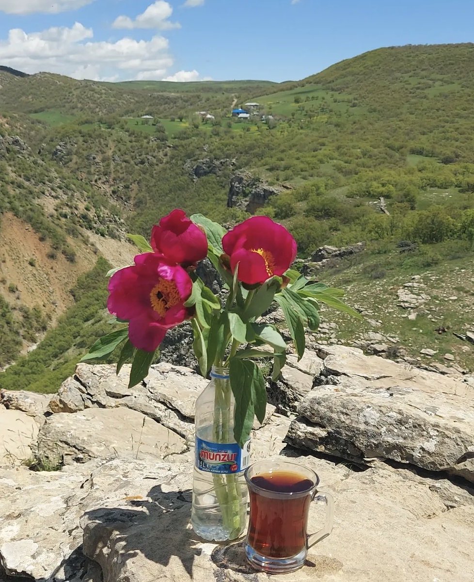 Deniz6262634's tweet photo. Bir zaman göçüdür insan
Hep başka bir zamana uyanır.
Başka bir sabaha ,
Başka umutlarla ,
Ama hep aynı yürekle...

#Günaydın umuda ☕️💙🙏🩵🌈 https://t.co/BVZIC6ofV2