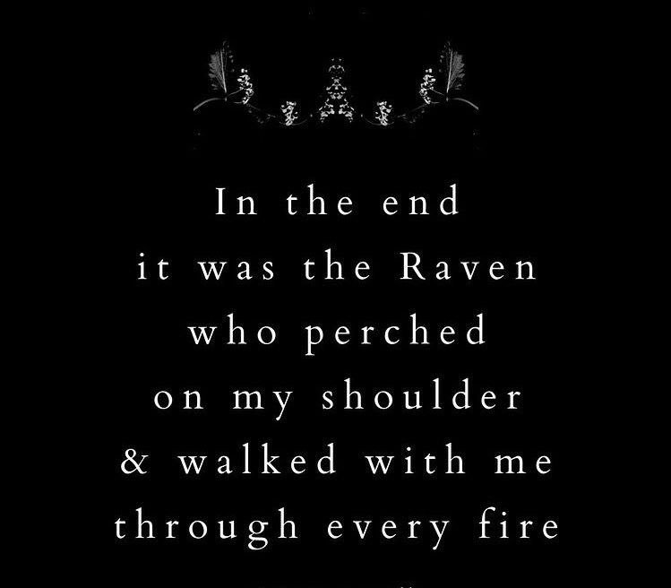 RavenoftheLake's tweet photo. 🐦‍⬛🌗🐦‍⬛🖤✨️ https://t.co/DUmQIdLiGl