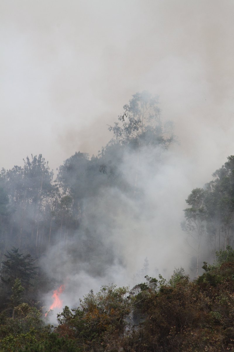 ConRegion's tweet photo. CHARTA NECESITA SU AYUDA‼️👩‍🚒🔥
76 horas de incendio forestal. Hombres y mujeres ejemplares dándolo todo no han sido suficientes para extinguir el incendio.
Se requieren personas, equipos y entidades que quieran ayudar.
#SOS #ConstruyendoRegión #Charta #IncendioForestal #EmergenciaAmbiental 
@Alcaldiacharta @AlcCalifornia  @AlcaldiaMatanza 
@TonaAlcaldia @angelicavetana @alcaldiasurata 
@DNBomberosCol @bomberosmatanza  @UNGRD 
@OGRDSantander @CARCDMB @DefensaCivilCo 
@MinAmbienteCo @GobdeSantander @ArisMining 
@ProSotoNorte