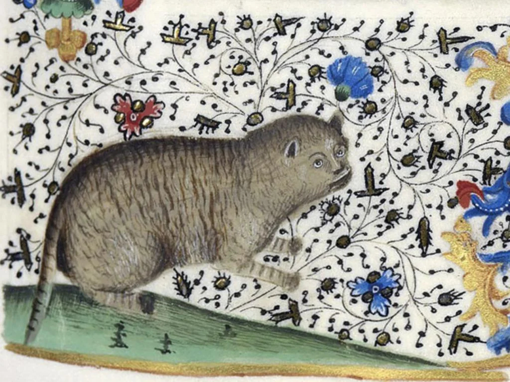 archaeologyart tweet picture