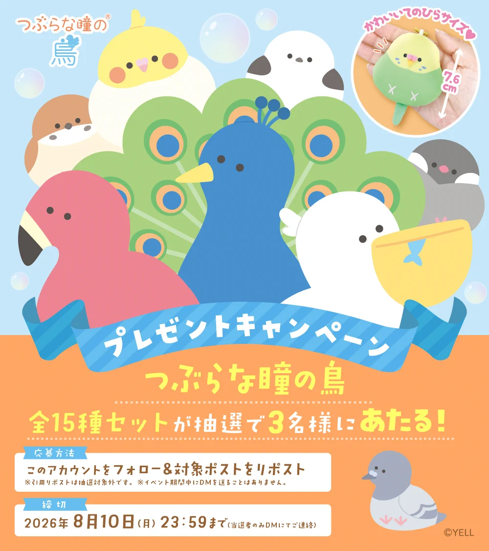 つぶらな瞳の仲間達【公式】 auf X: „🐣 つぶらな瞳の鳥 🕊 ひよこ💛き