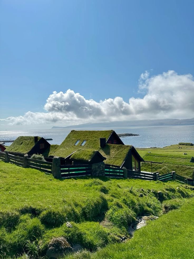 ____flowers__'s tweet photo. Faroe Island https://t.co/vVJagNwNfZ