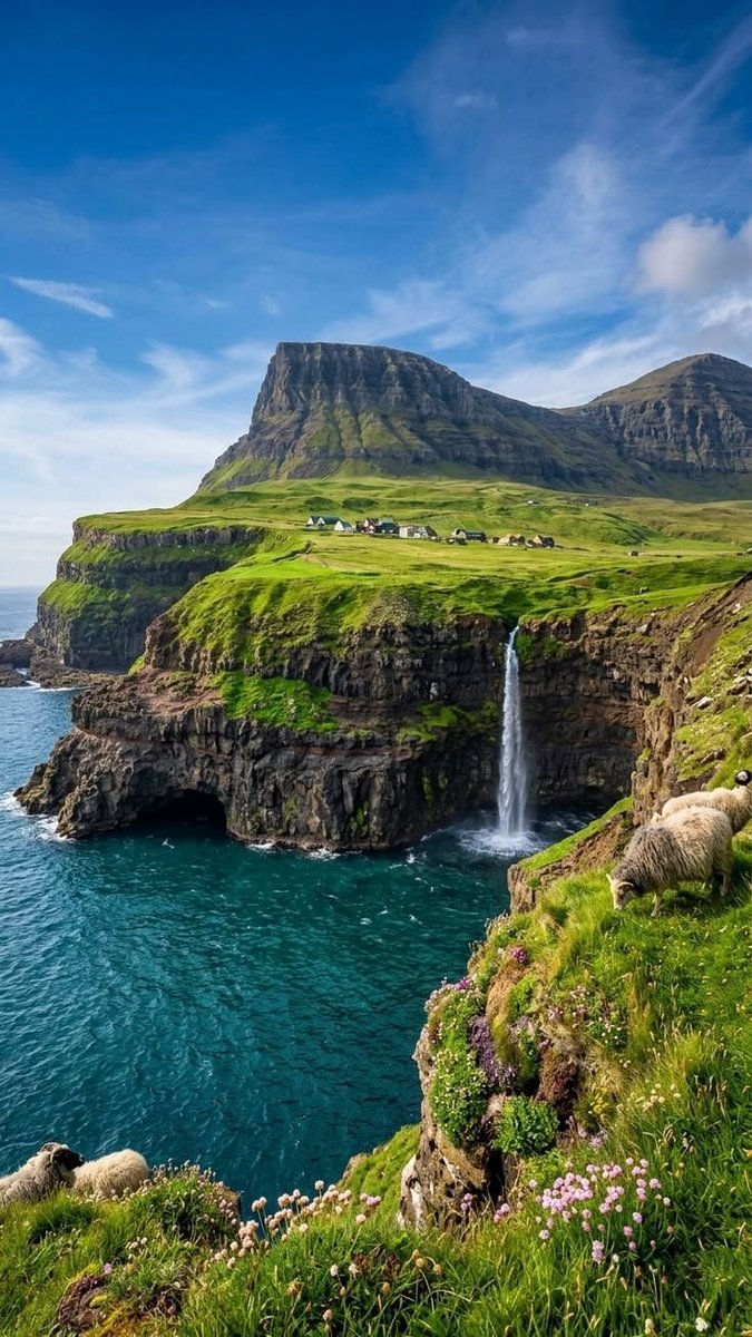 ____flowers__'s tweet photo. Faroe Island https://t.co/vVJagNwNfZ