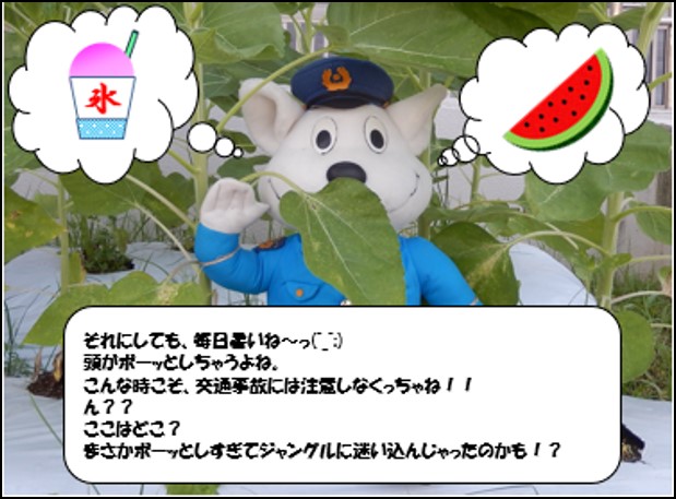 和歌山県警察 (@police_wakayama) / Posts / X
