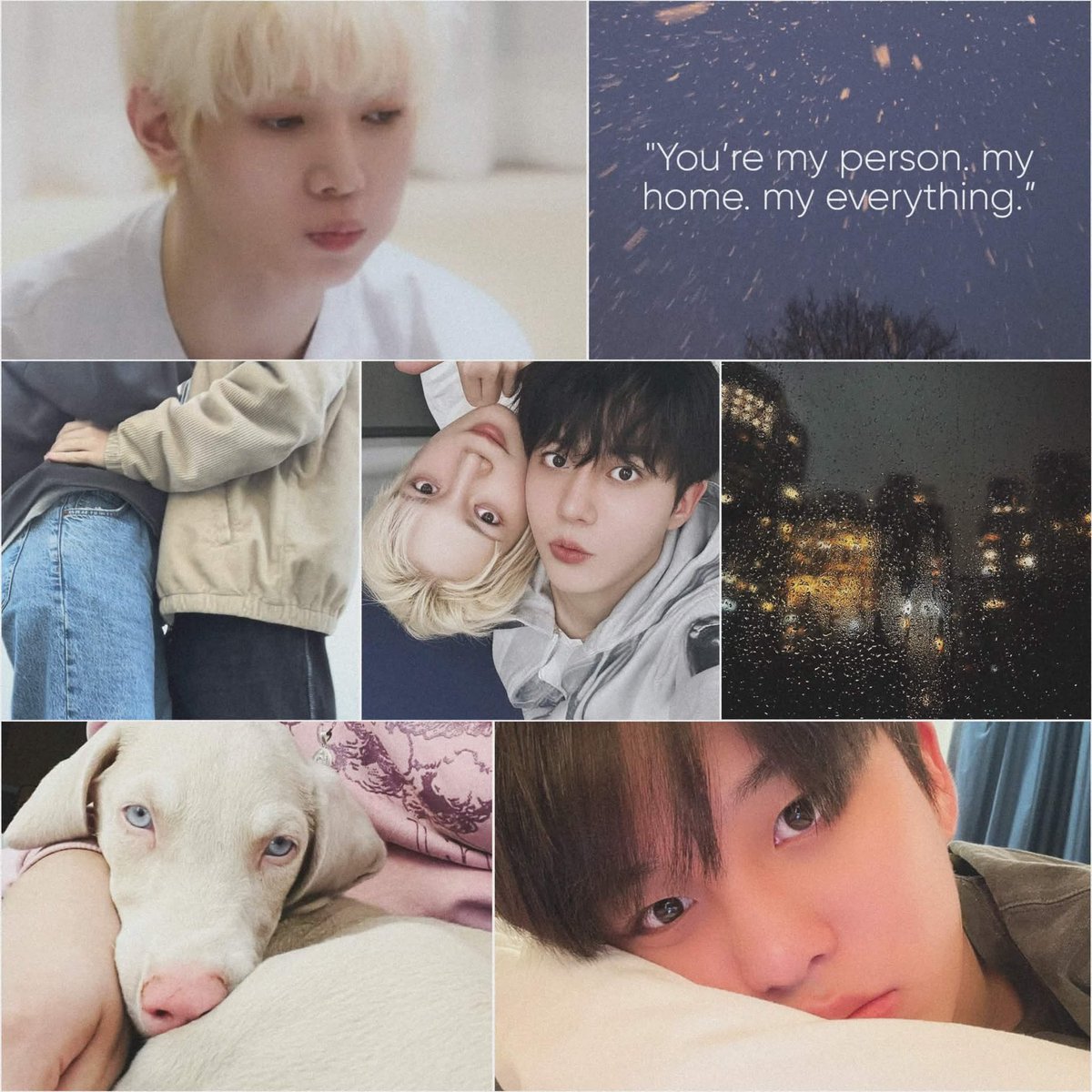 llamapjs's tweet photo. reserved for you 🐾♡₊ ⊹

♡ doberman!ys x human! jh
♡ falling in love, light angst
♡ 30.8k

beta’d by @Lum1n3sc3nt_ and @ashestorm ; moodboard by @itskamchill 

https://t.co/UhuvSzQeQh https://t.co/yaJHMtSnuj
