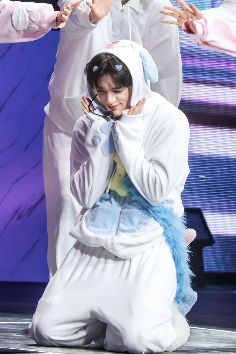 jenooomf's tweet photo. my favorite puppygirl https://t.co/qSHNFtWlrj