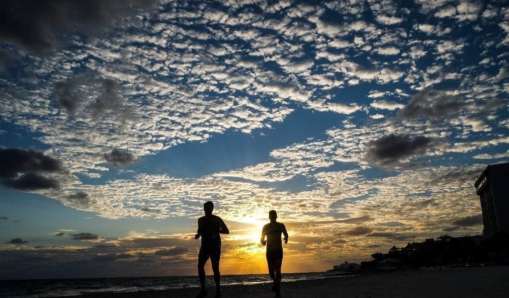 DiverCityMx's tweet photo. El viajero encuentra en la costa un lugar para recomenzar y celebrar la libertad.
"Explorar el mundo es aprender a leer los silencios que cada horizonte regala."
Etiqueta a quien viajaría contigo y guarda este momento. 🌅🏖️
#ViajarConOrgullo #DescubreElMundo #DiversidadViajera
#DiverCityMx #TuEstiloInteligenteDeViajar
🖼️ #Follow 👉 https://t.co/ZGpMlpZCTE