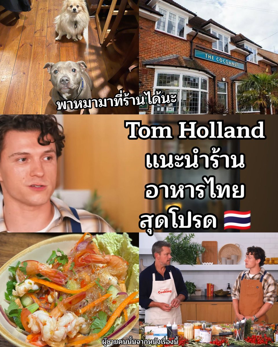 PoohChaiKonNun's tweet photo. สมกับที่มาถ่ายหนังที่ไทยตั้งแต่เด็ก🇹🇭 น้องTom Holland แนะนำร้านอาหารไทยสุดโปรดในรายการ NYT Cooking (ยอดวิวคลิปกว่า2.3  ล้านวิว)

ในรายการนี้น้องทอมไปออกกับพี่ Matt Damon แล้วมีช่วงนึงรายการถามว่าถ้าแนะนำร้านอาหารท้องถิ่นให้อีกฝ่ายได้ จะชวนไปกินร้านไหน น้องทอมก็ตอบว่า The Cocoanut ซึ่งเป็นผับอาหารไทยในคิงส์ตัน (Kingston) ที่เขามักจะไปบ่อยๆ กับครอบครัว และที่พิเศษคือ สามารถพาสุนัขเข้าไปได้ด้วย และมีบรรยากาศที่เป็นกันเองสุด ๆ 
  
ครั้งนี้ไม่ใช่ครั้งแรกที่น้องทอมแนะนำร้านนี้นะคะแสดงว่าชอบมากเลย และความที่เขาเป็นทาสหมาเขายิ่งชอบที่ร้านปล่อยให้น้องหมาเดินได้อิสระ เขายังเคยเล่าว่าน้องหมาที่ร้านก็เฟรนด์ลี่สุดๆ จนมีครั้งนึงไปฉี่ใส่ลูกค้าด้วย😂