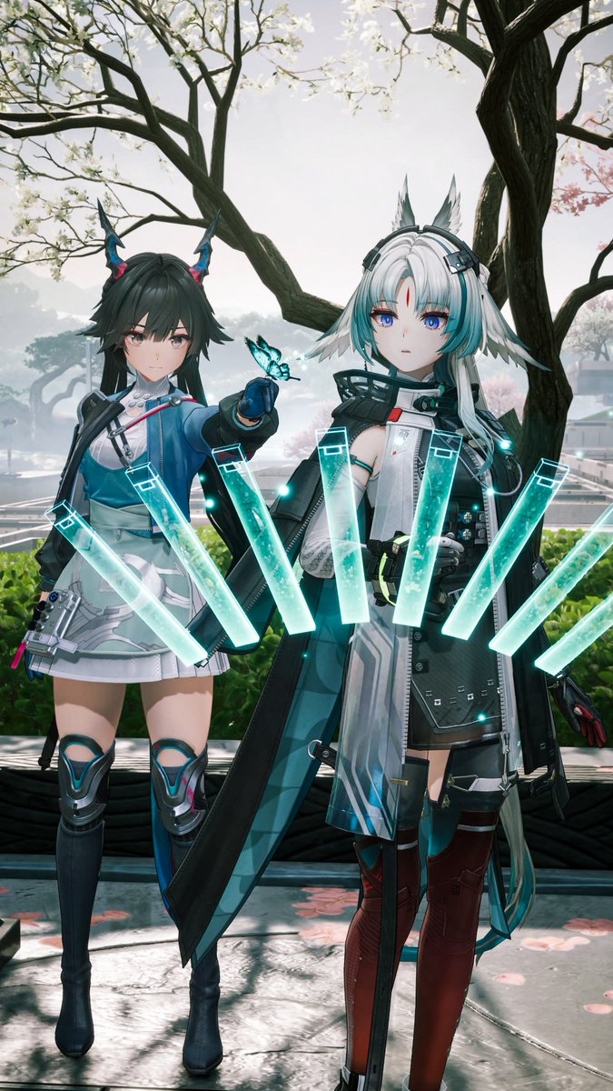 こむぎ (@komugi6a) / Posts / X