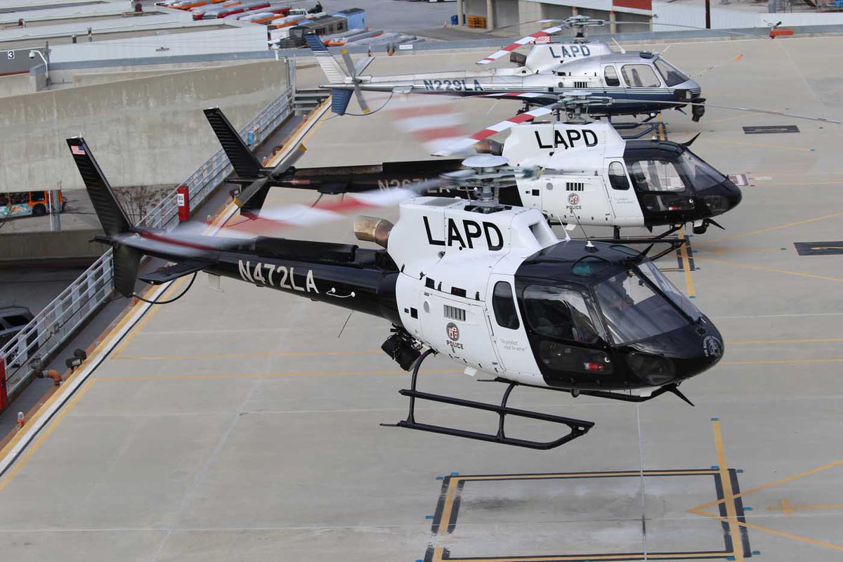 dustypacer's tweet photo. The state bird of California is the California Quail, but the county bird of Los Angeles is the AirBus AS350 https://t.co/0EzdKBXsZT