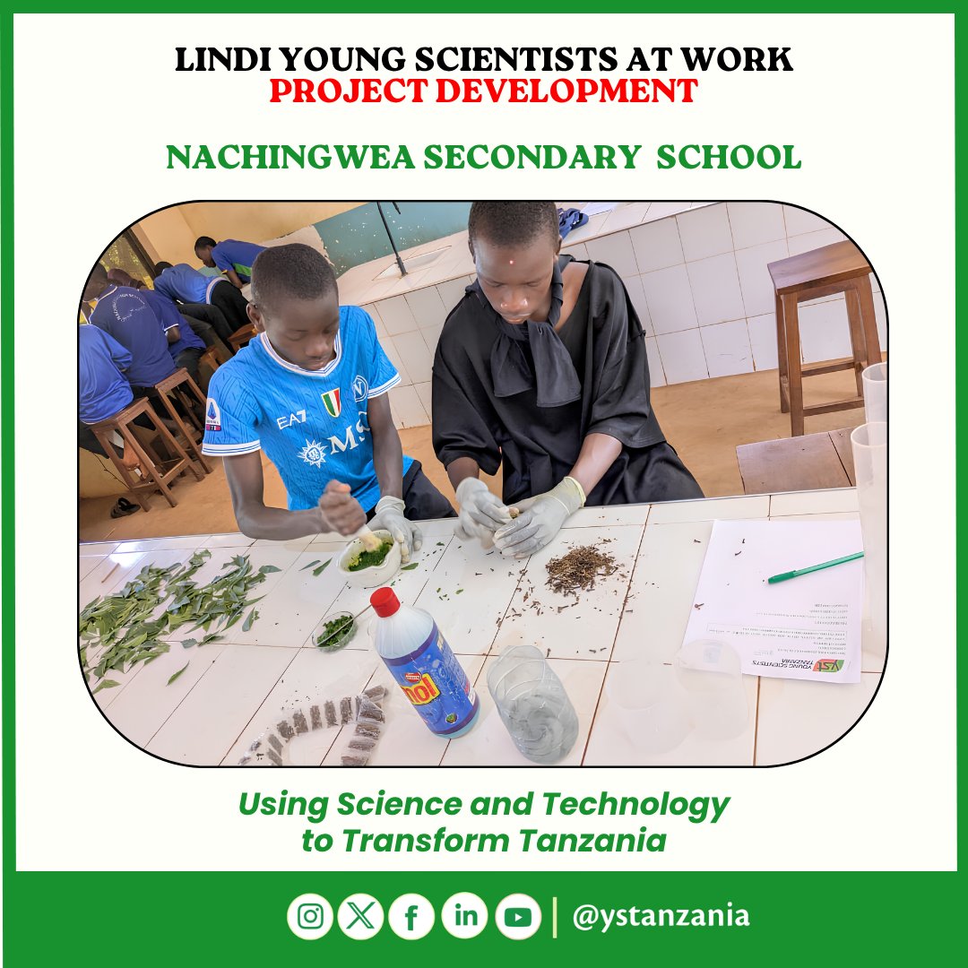 ystanzania's tweet photo. Young innovators Brian Deogratius Ndunguru and Akshey Mustapha Nyagali of Nachingwea Secondary School are testing clove, neem, and liquid soap extracts as natural insecticides to control bed bugs in boarding schools. #ScienceForDevelopment #STEM #Innovation https://t.co/OTSXeYqDgw