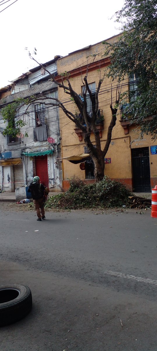 djbuckmix's tweet photo. @AlessandraRdlv @ClaraBrugadaM mejor checa a los podadores.....porque hacen ch1ng@deras y matan arboles.......en camelia...entre soto y lerdo....colonia guerrero......ve a ver sus porquerías!!! https://t.co/eeJaLBDbvh