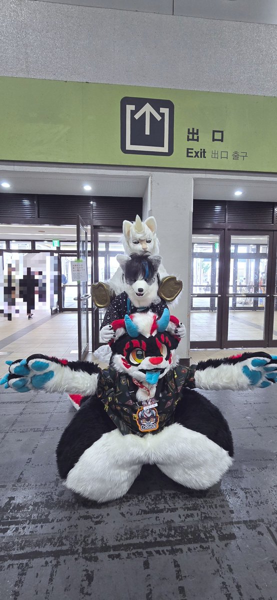 118_max's tweet photo. 前から
ねりだけくん(@Wadawolf0330 )
あまぎさん(@hidamari_wolf )
輝馬さん(@orinkoto_1_04 )

3匹並んで頭出してる姿可愛すぎませんか！？
ねりだけくんの耳や角を触って遊んでいる姿に癒されました…😊✨
お写真撮らせていただきありがとうございました！
#OFFF2026 https://t.co/BagNeSwyXQ