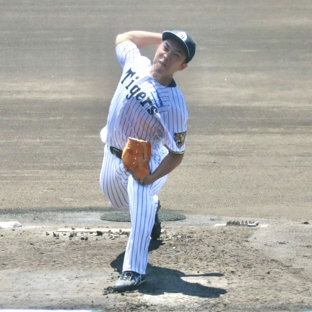 NikkanNaruohama's tweet photo. 左アキレス腱断裂から復帰を目指す石井大智投手が２度目のライブBPに登板！

力強く投げていました💪

#阪神タイガース https://t.co/gcKoSq1KuF