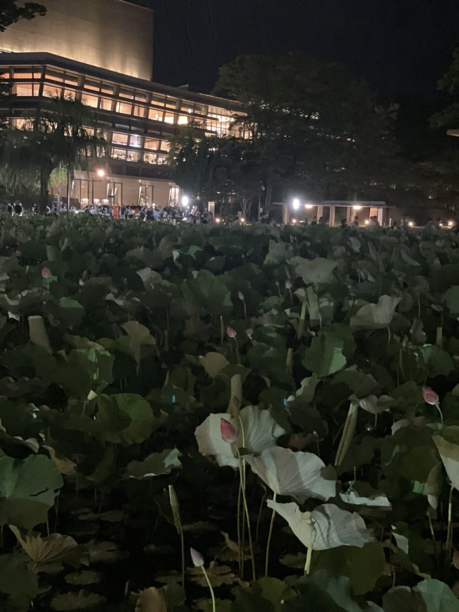1vNXt1pUH7UwJoF's tweet photo. 創価学会が、熊本地震に対して総額1億6000万円の義援金を寄付する事になった。

広報局のXからの発信。

学会は、これまでも東日本大震災や能登半島地震などの災害でも多額の義援金を寄付してきた。

私つとみんは会員として、これほど有意義なお金の使い方を誇りに思う。

被災地の復興を、強く祈っていきます。