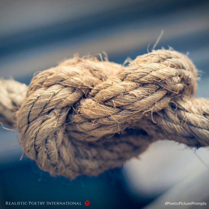 RealisticPoetry's tweet photo. How poetic can you be? Write a short poem about what you see! https://t.co/Yf8nlt9D1i