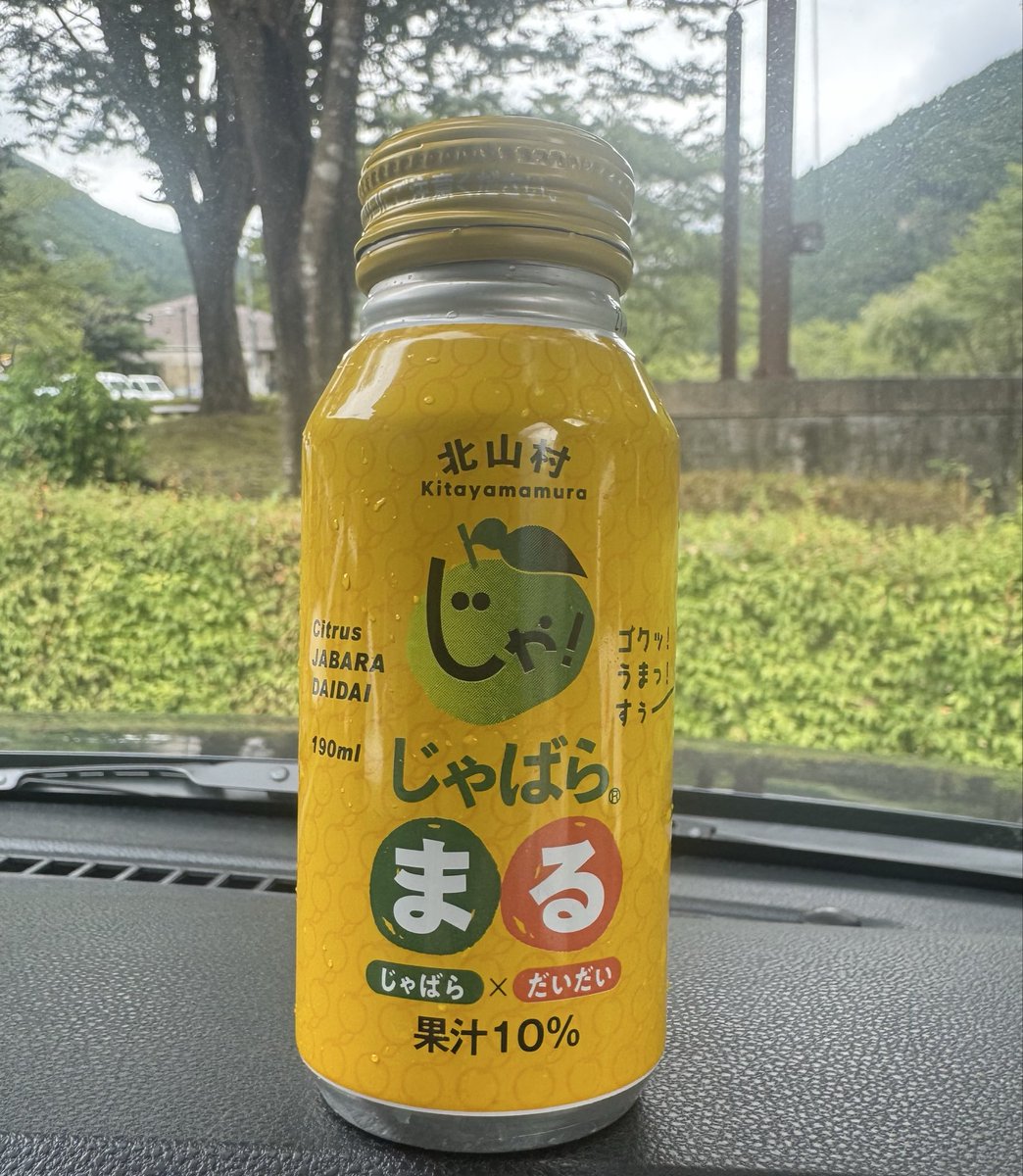 _ODEHI's tweet photo. 和歌山県北山村「道の駅おくとろ」でひと休み☕️
北山村特産の「じゃばらまる」を飲んでみました🍊
スッキリ爽やかで美味しかった👍✨
#道の駅おくとろ #北山村 #和歌山県 #じゃばら https://t.co/bbqOy05qRq