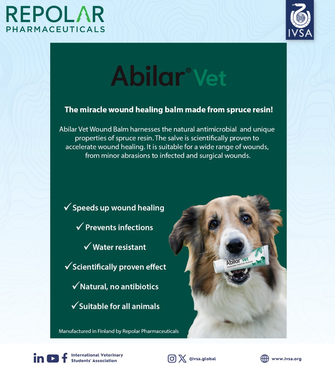 IVSA_GLOBAL's tweet photo. [ANNOUNCEMENT OF OUR NEW SPONSOR]
@Repolar Pharmaceuticals!

This Finnish company develops science-backed wound care products using Norway spruce resin, including AbilarVet for animal wounds.
Thank you for supporting veterinary students worldwide!

#IVSA #IVSAGlobal #Repolar https://t.co/7xbKlPedXK