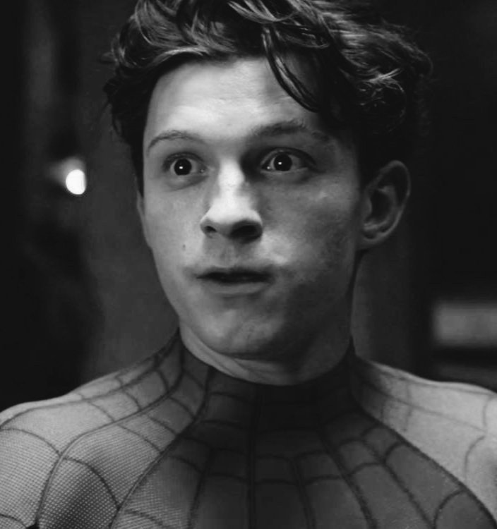 damonsalva2n's tweet photo. La pequeña araña @PeterB_P4rker sentía curiosidad por saber qué se sentía al ser dominada por un macho maduro, y se lo mostré 😏🔥

The little spider @PeterB_P4rker was curious about what it felt like to be dominated by a mature male, and I showed her 😏🔥 https://t.co/FTaQb57Fzs