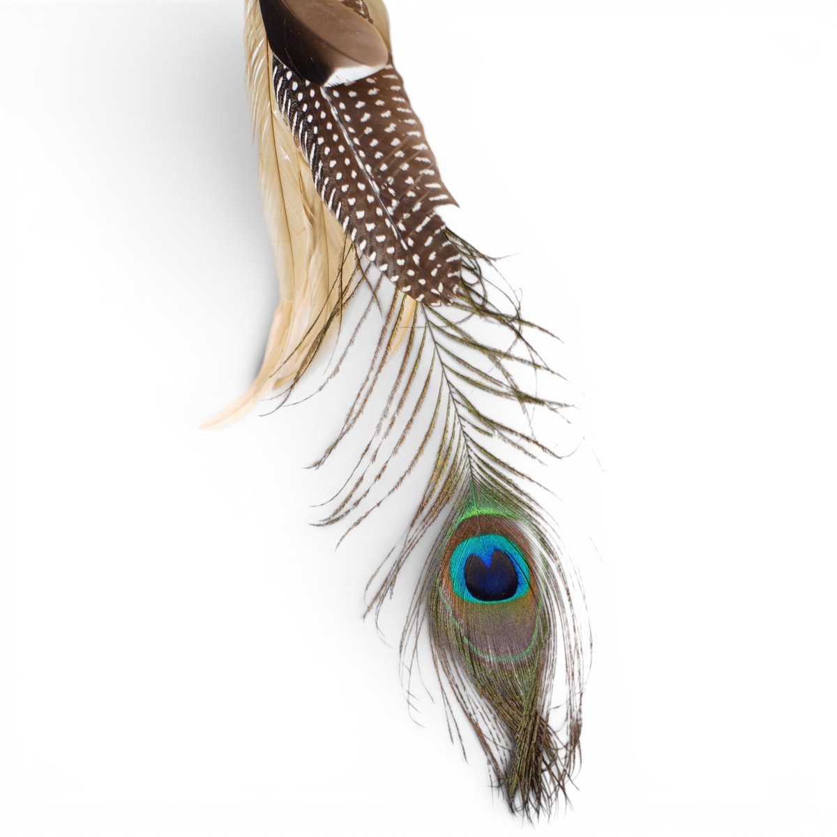 3rdivisionShop's tweet photo. CHROME HEARTS Feather Necklace
Featuring genuine peacock &amp; exotic feathers combined with a metallic purple braided leather cord. Finished with iconic Sterling Silver tips for that ultimate luxury streetwear edgeStand out from the crowd. 🪶
#LuxuryJewelry 
https://t.co/6lVlnd1Lz3 https://t.co/uZBSZ75qaT