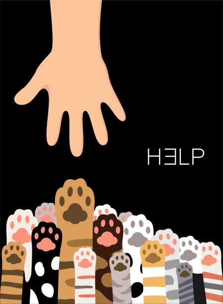 royalgkbassG7's tweet photo. 森の小動物観察🦔🐾 https://t.co/3OK60AOZbU