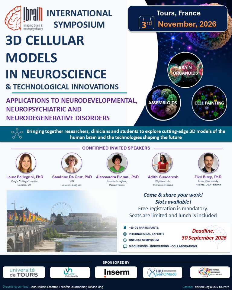 iBrain_Inserm's tweet photo. 🧠📢 Join us in Tours, 03/11, France for the iBraiN Int. Symp. on 3D Cellular Models in Neuroscience &amp; Technological Innovations!

📅 Abstract deadline: 30 Sept 2026
🎟️ Free registration (mandatory, limited seats)
🌐 https://t.co/88APyzvIkq

#BrainOrganoids https://t.co/m0NuzJvlA8