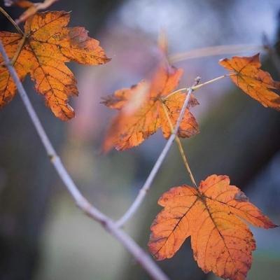 fred_fouda's tweet photo. We’ve survived multiple cycles. Each one makes the survivors stronger and wiser. 🔥 🌞 🔥 https://t.co/if0ieRwi9f