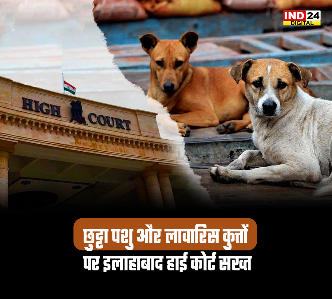 IND24MEDIA's tweet photo. छुट्टा पशु और लावारिस कुत्तों पर इलाहाबाद हाई कोर्ट सख्त
#AllahabadHighCourt #StrayAnimals #StrayDogs #BreakingNews #HindiNews #LatestNews #NewsUpdate #IndiaNews #CurrentAffairs #HighCourt https://t.co/vwQdFMafop